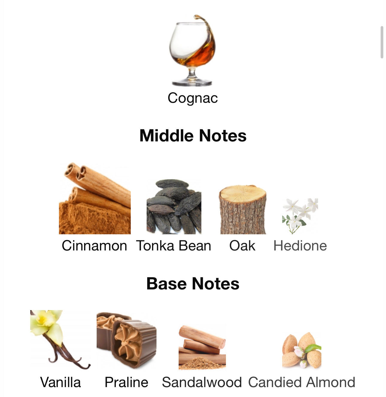 Kilian Angel’s share