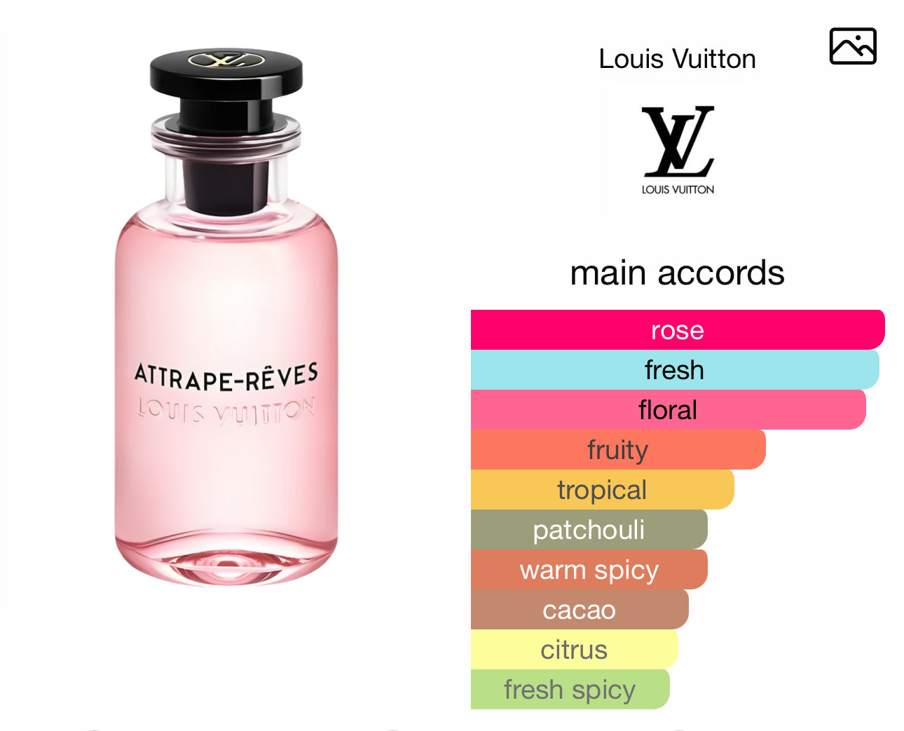 Louis Vuitton Attrape-Reves