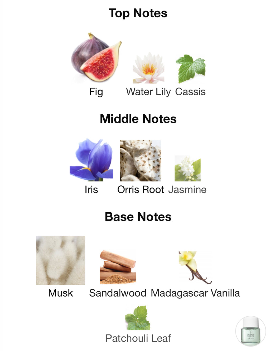 Phlur Father Figure EDP