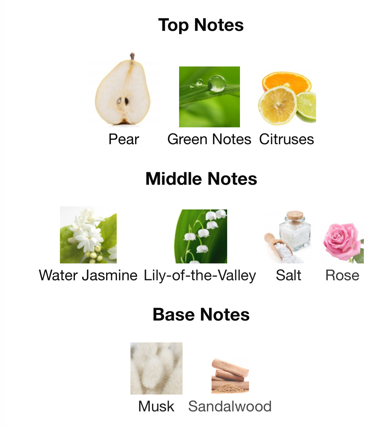 Giorgio Armani Ocean di gioia