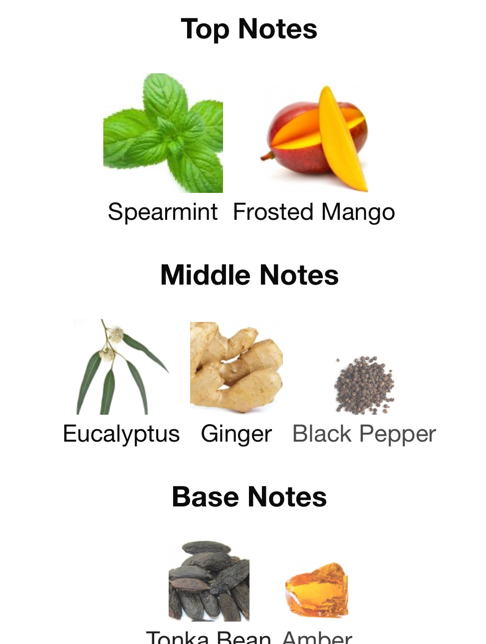 NEW!! Iced by Commodity