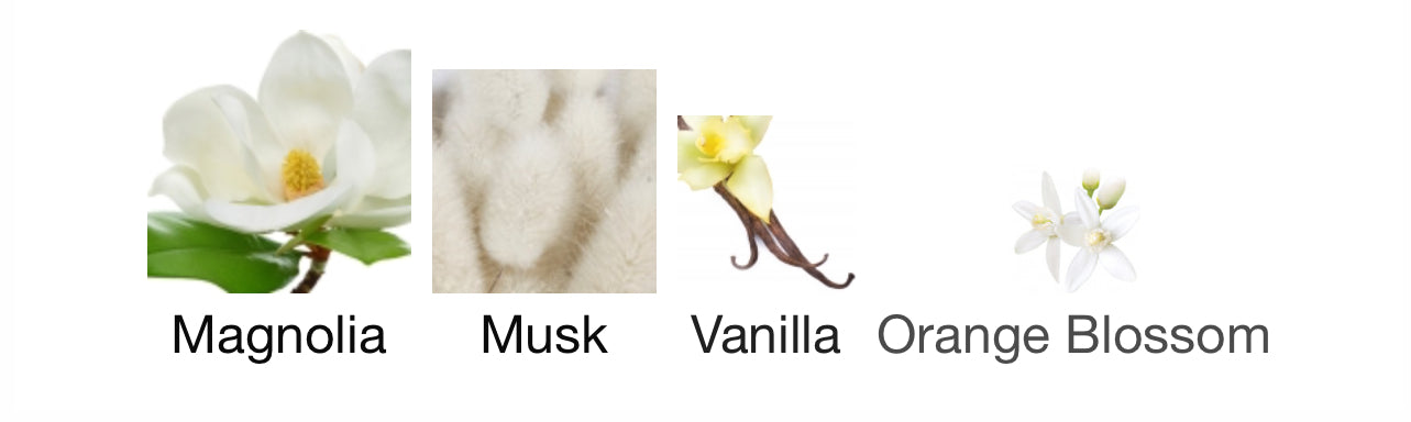 VS Bare Magnolia edp