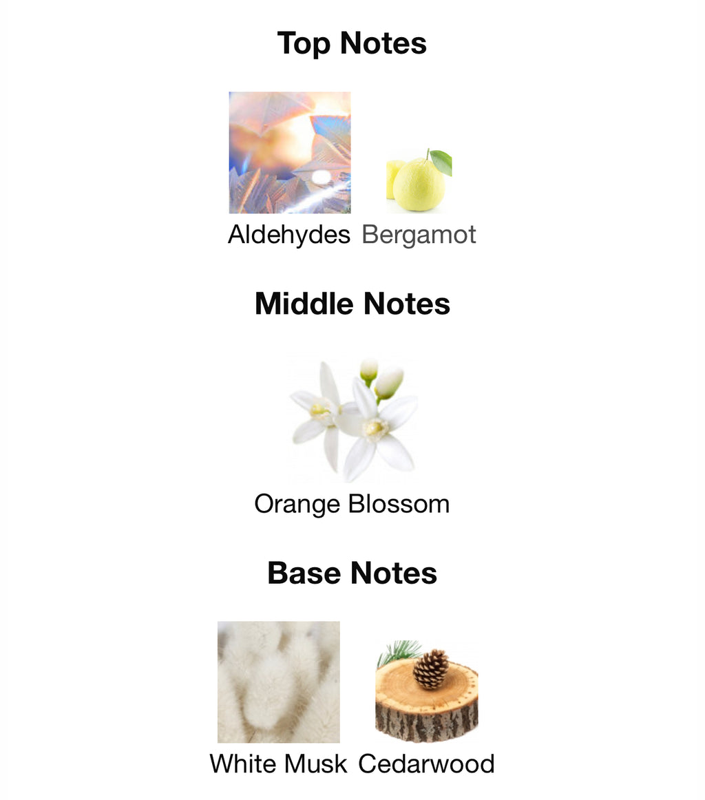 NEW!! Carolina Herrera Cedar Chic