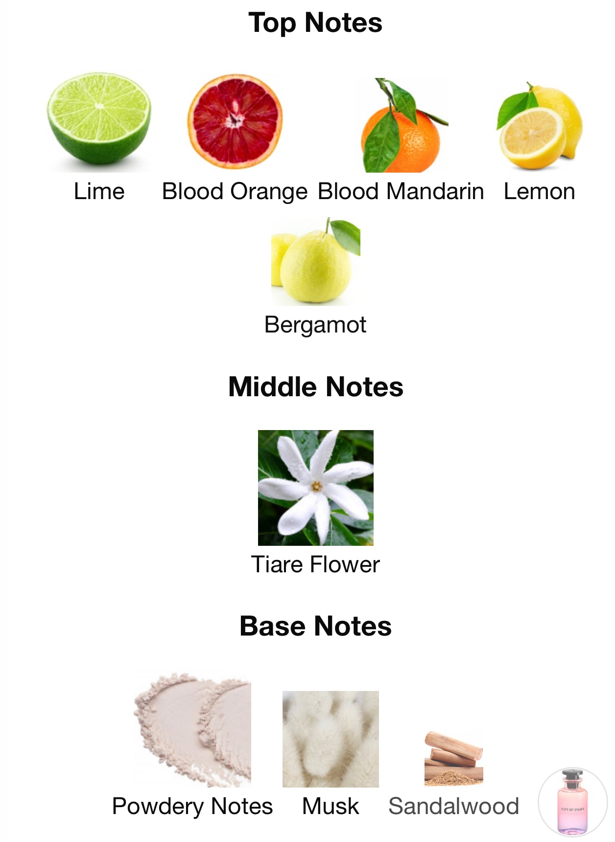 Louis Vuitton City Of Stars