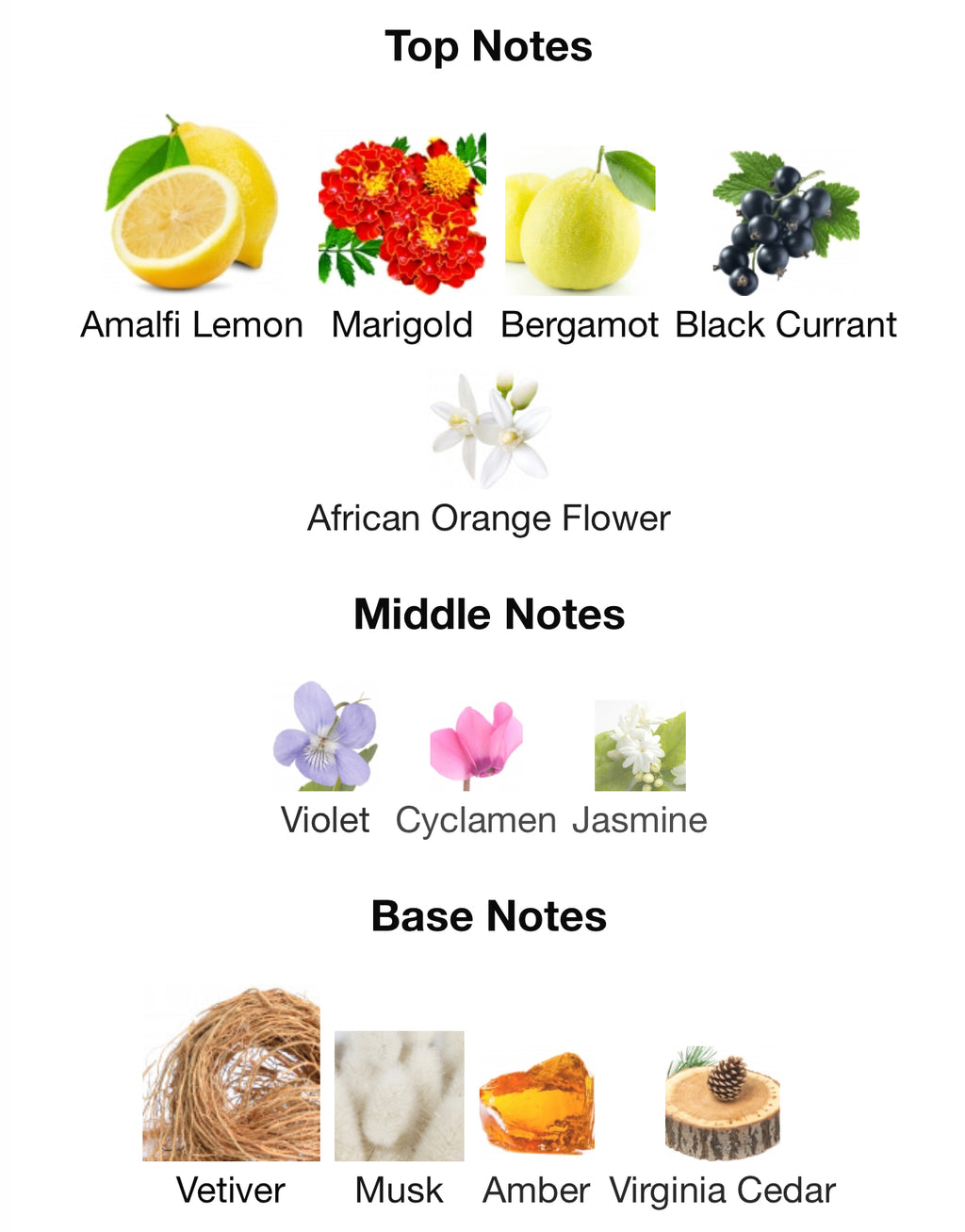 BYREDO Bal D’Afrique EDP