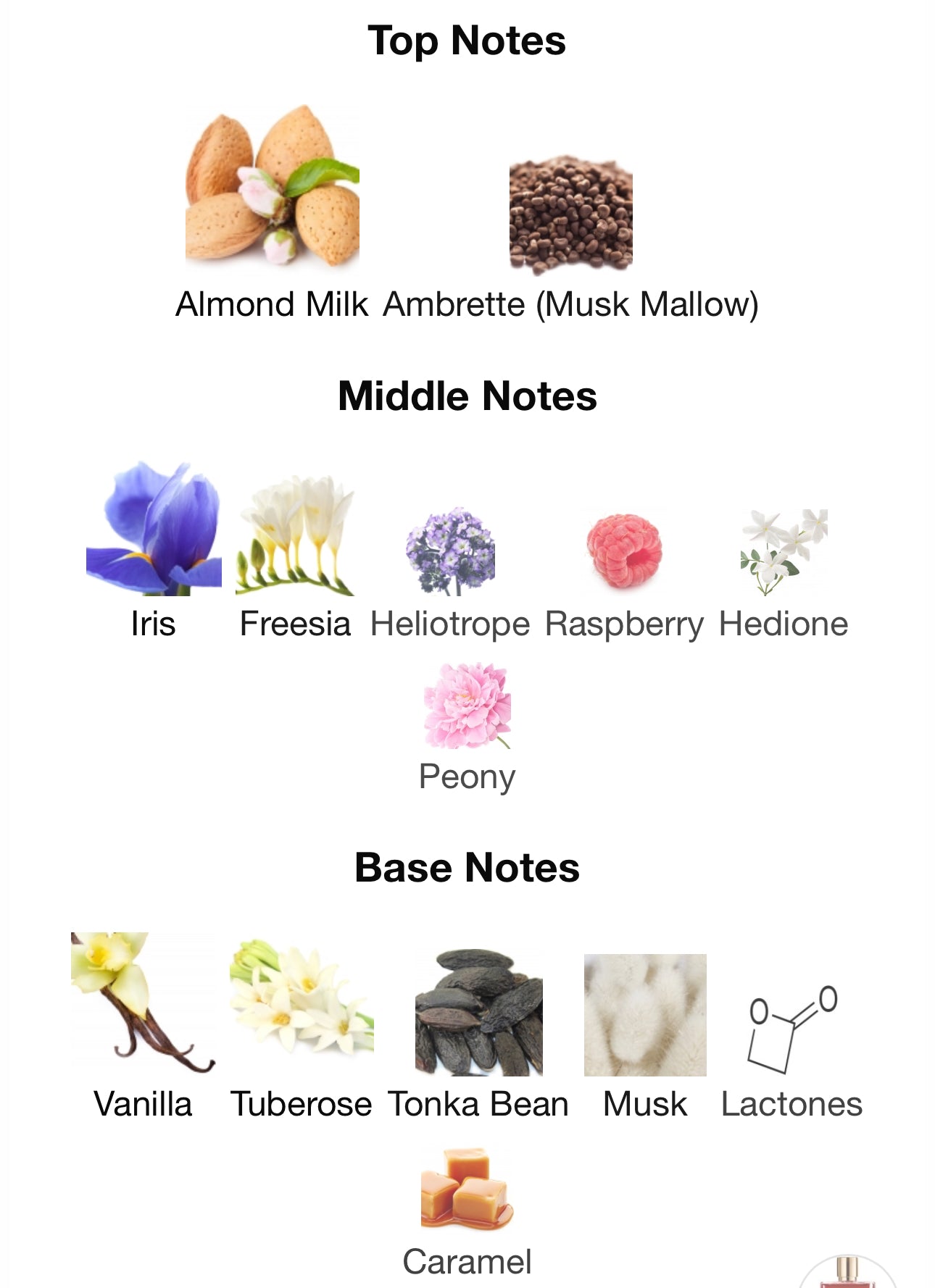 Kilian Rolling In Love EDP