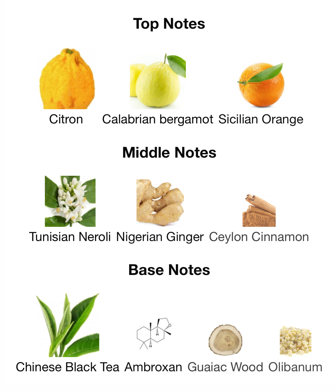 Louis Vuitton Imagination