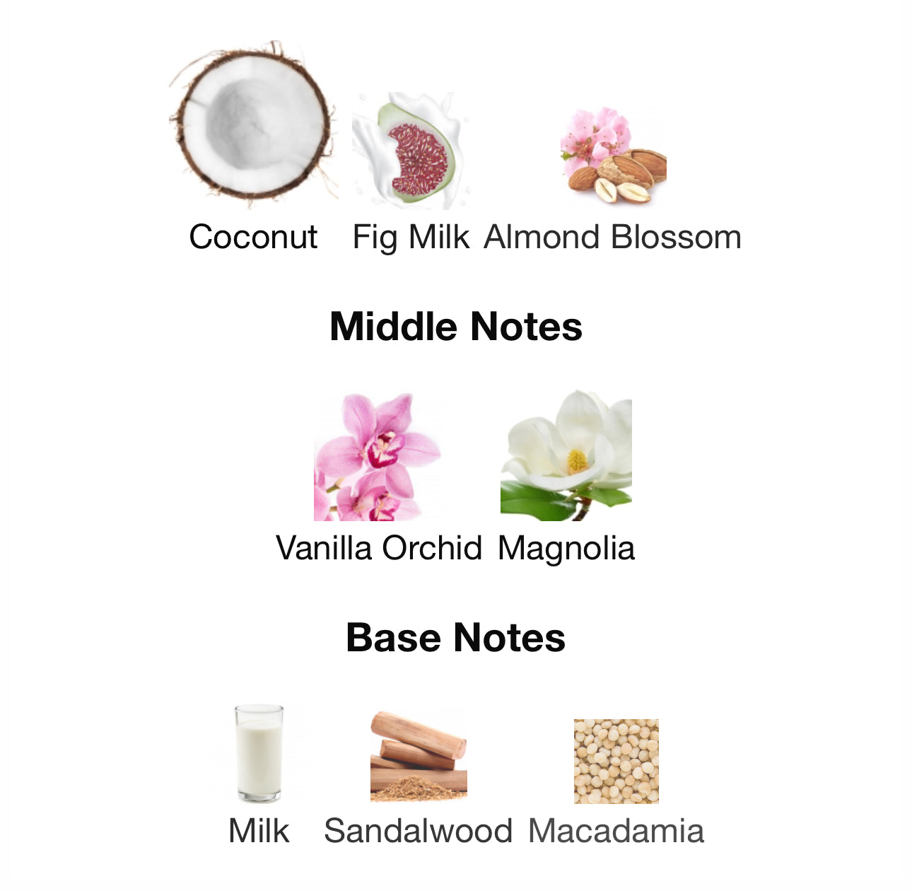 Milk Orchid by Commodity