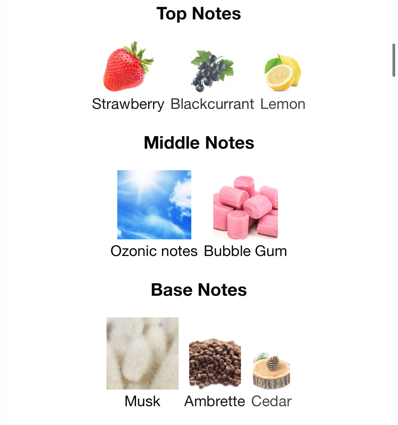 Room 1015 Love-O-Matic